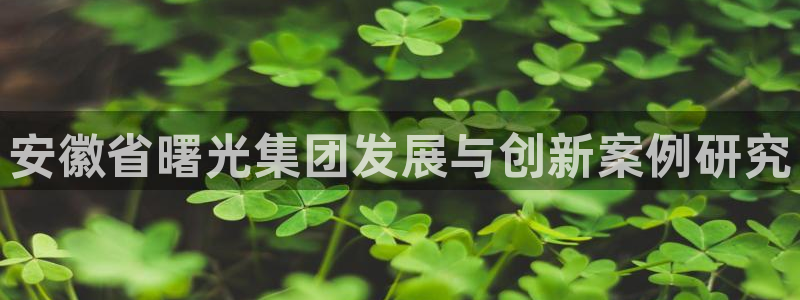 球盟会和中欧：安徽省曙光集团发展与创新案例研究