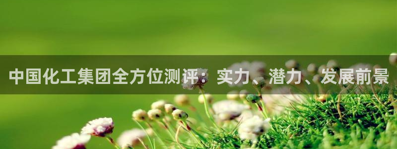 球盟会官网app下载