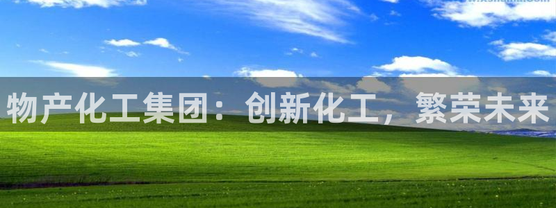 球盟会qmh电子网页版登录：物产化工集团：创新化工，繁荣未来