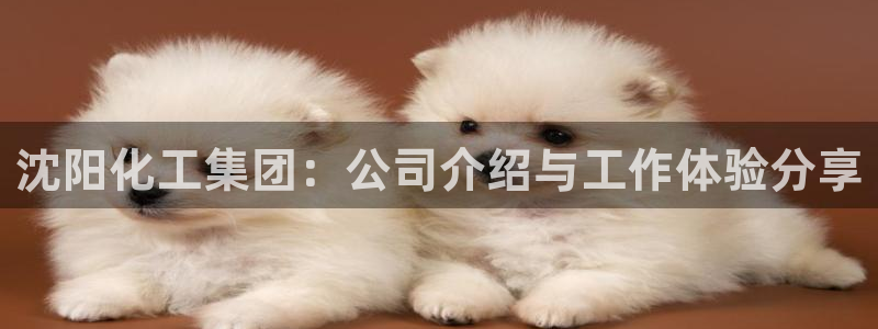 球盟会官方平台入口
