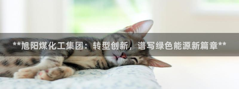 球盟会黑款吗知乎：**旭阳煤化工集团：转型创新，谱写绿色能源
