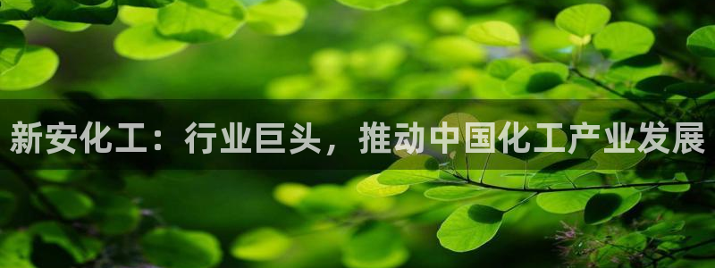 球盟会娱乐平台：新安化工：行业巨头，推动中国化工产业发展