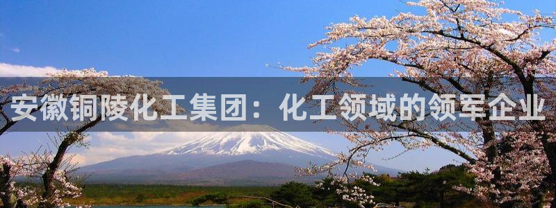 球盟会app最新地址在哪找