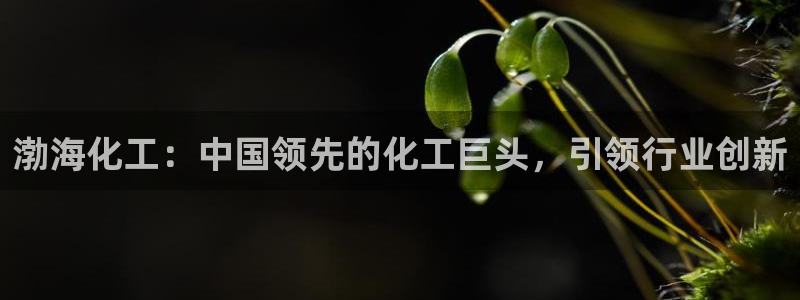 球盟会进不去：渤海化工：中国领先的化工巨头，引领行业创新