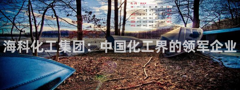 球盟会下载最新版