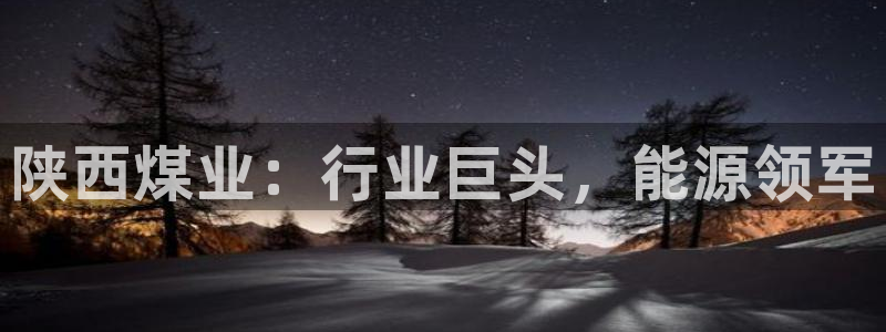球盟会qmh官网