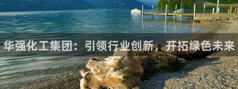球盟会黑网：华强化工集团：引领行业创新，开拓绿色未来