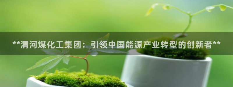 球盟会黑台子：**渭河煤化工集团：引领中国能源产业转型的创新