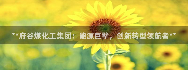 球盟会官方网入口