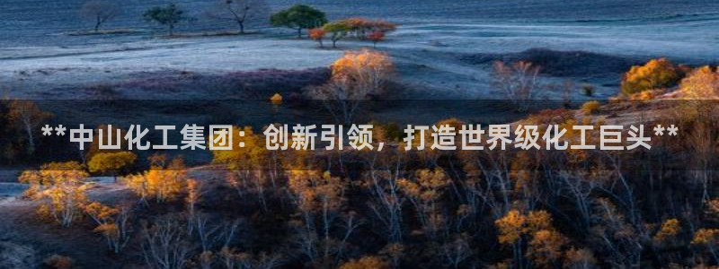 球盟会登陆入口：**中山化工集团：创新引领，打造世界级化工巨