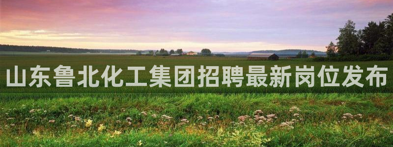 球盟会体育app官方网站