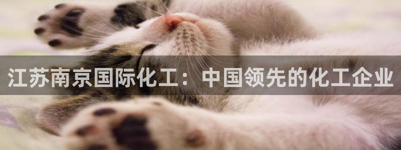 球盟会论坛