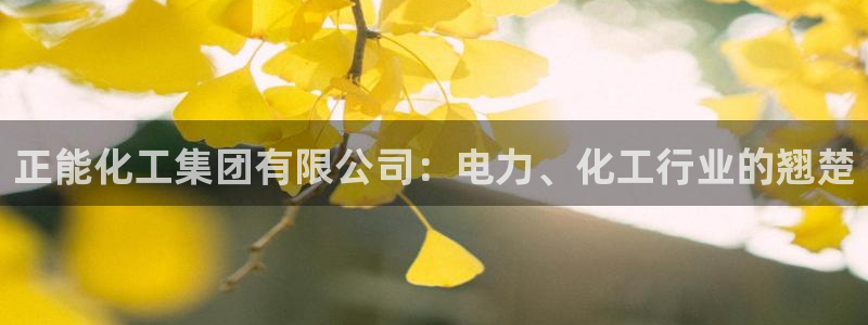 球盟会官方登录平台