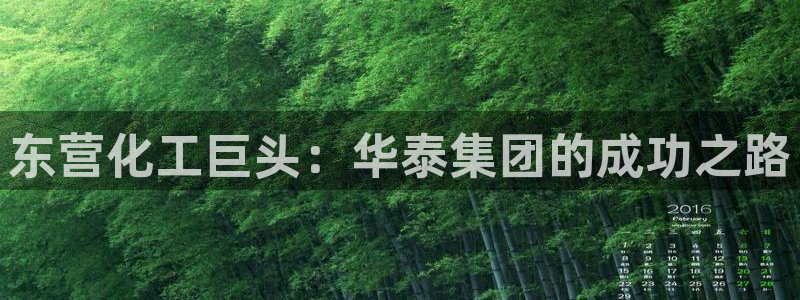 球盟会登陆入口：东营化工巨头：华泰集团的成功之路