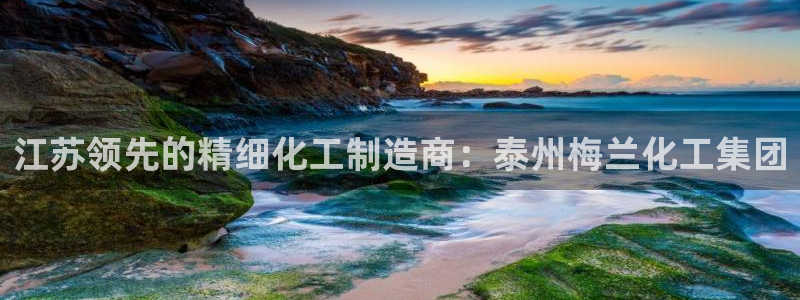 球盟会官方下载：江苏领先的精细化工制造商：泰州梅兰化工集团