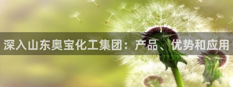 球盟会中国官方网站