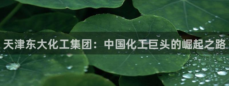 球盟会手机网页版