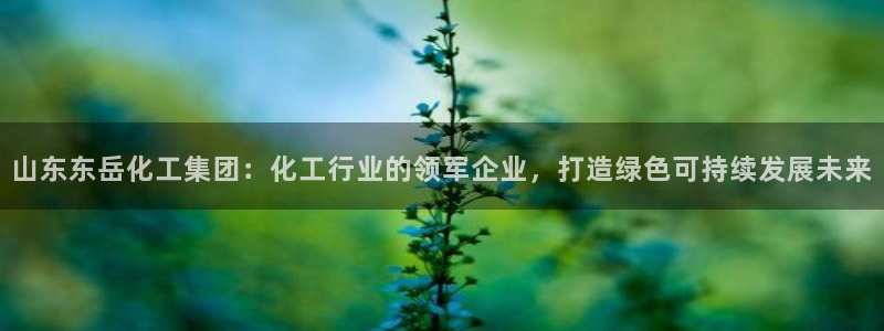 球盟会网页登录：山东东岳化工集团：化工行业的领军企业，打造绿