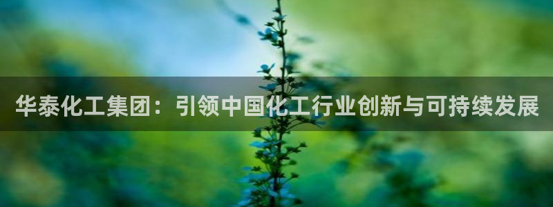球盟会网页版：华泰化工集团：引领中国化工行业创新与可持续发展