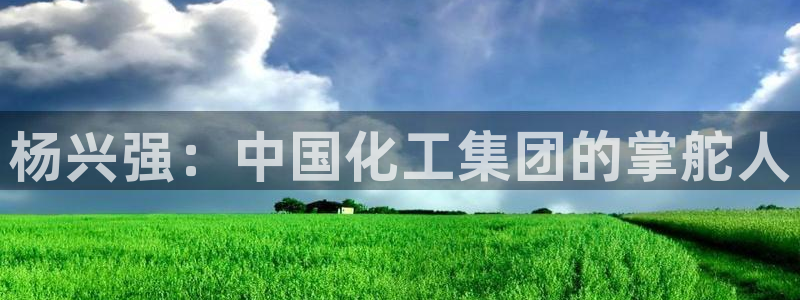 球盟会qm8597