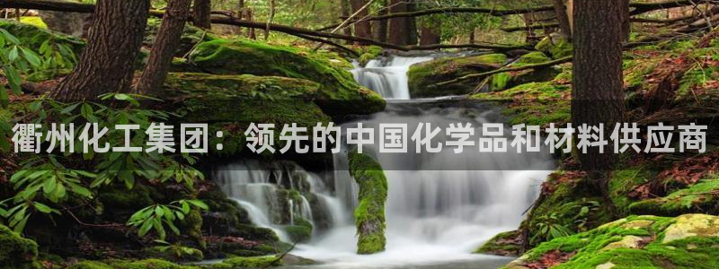 球盟会乐虎