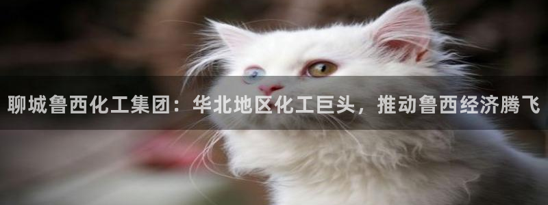 球盟会网页登录