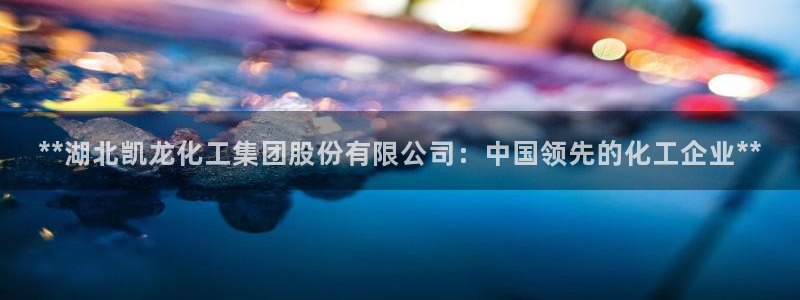 球盟会论坛：**湖北凯龙化工集团股份有限公司：中国领先的化工