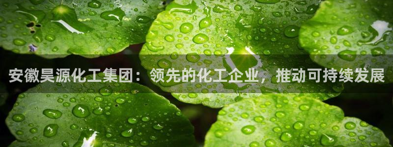 球盟会网址qm9 - 球盟会qmh网页版登录：安徽昊源化工集
