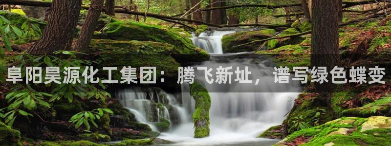 球盟会网址多少