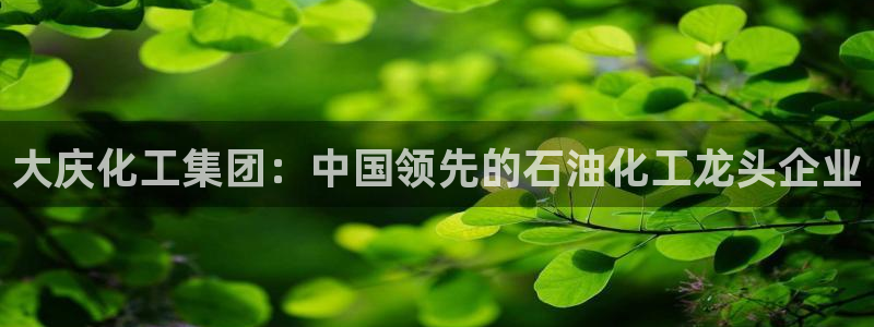 球盟会qmh官网：大庆化工集团：中国领先的石油化工龙头企业