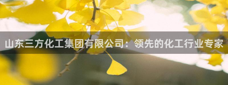 球盟会登陆入口：山东三方化工集团有限公司：领先的化工行业专家