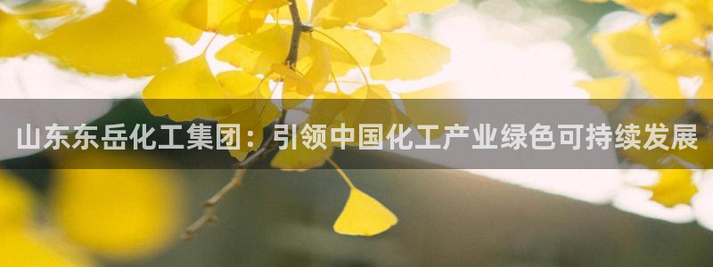 球盟会app安装：山东东岳化工集团：引领中国化工产业绿色可持