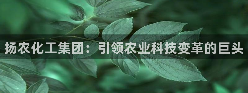 球盟会国际官网