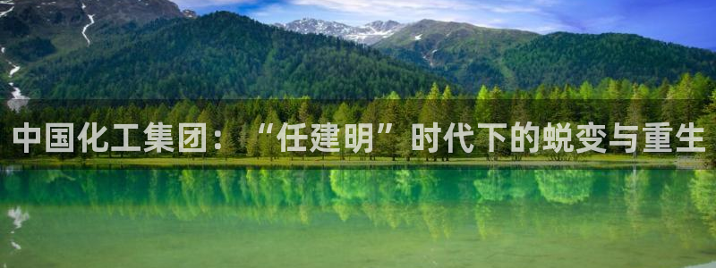 球盟会黑款吗还是白款