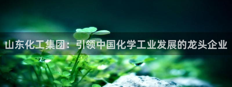 球盟会官方下载：山东化工集团：引领中国化学工业发展的龙头企业