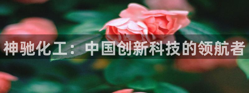 球盟会地址：神驰化工：中国创新科技的领航者
