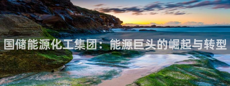 球盟会官方