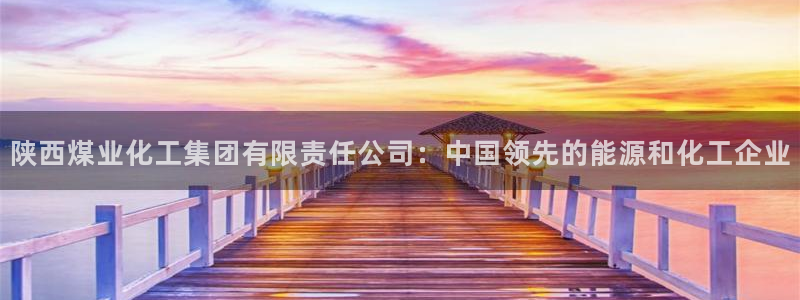 球盟会和中欧会的区别：陕西煤业化工集团有限责任公司：中国领先