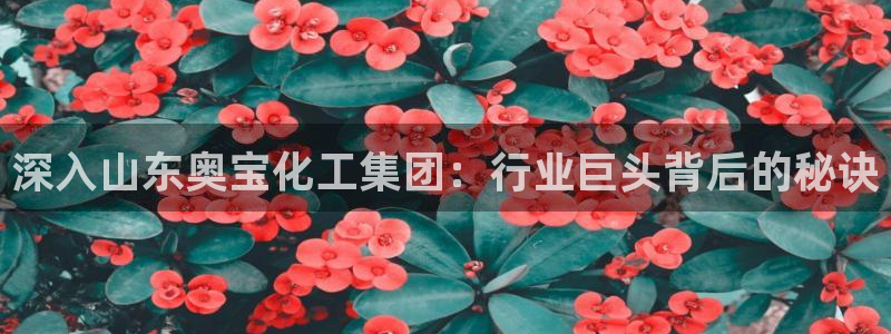 球盟会入口