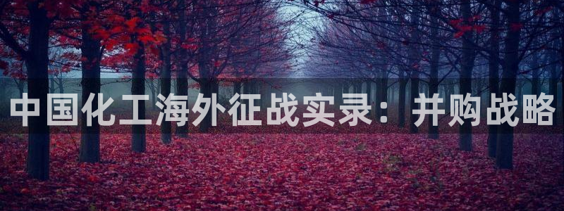 球盟会官方客服
