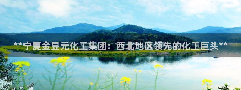 球盟会app手机登录：**宁夏金昱元化工集团：西北地区领先的