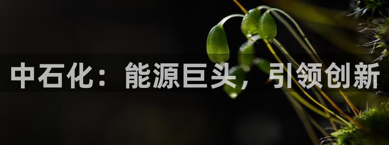 球盟会体育平台：中石化：能源巨头，引领创新