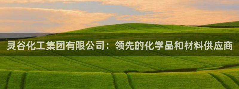 球盟会网页登录app下载地址：灵谷化工集团有限公司：领先的化