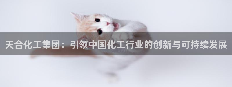 球盟会app最新地址在哪里：天合化工集团：引领中国化工行业的