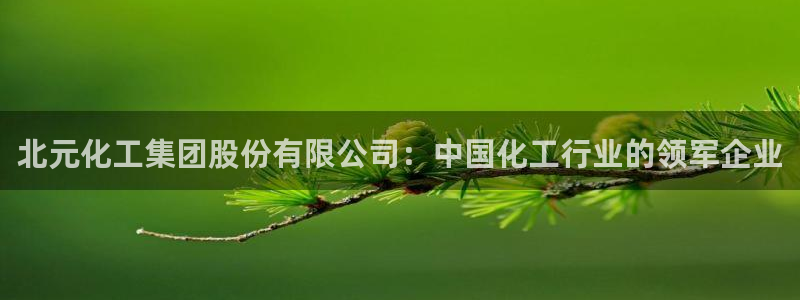 球盟会app最新地址在哪：北元化工集团股份有限公司：中国化工