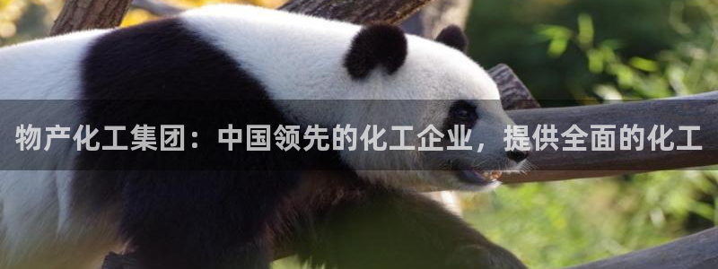 球盟会qmh - 球盟会官方网站：物产化工集团：中国领先的化