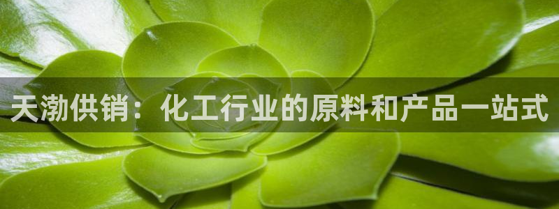 球盟会贴吧：天渤供销：化工行业的原料和产品一站式