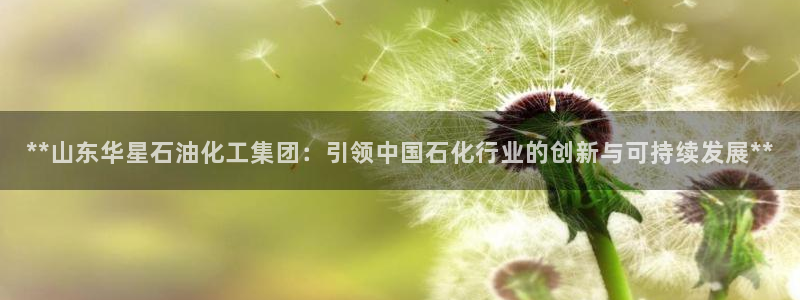 球盟会连接：**山东华星石油化工集团：引领中国石化行业的创新