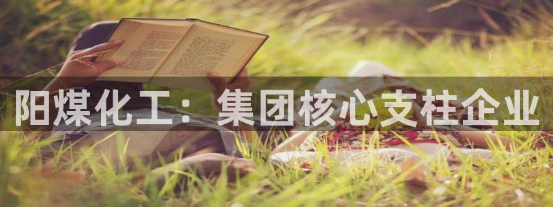 球盟会官方入口：阳煤化工：集团核心支柱企业