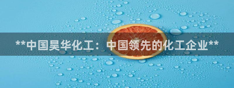 球盟会提款支付宝怎么样：**中国昊华化工：中国领先的化工企业